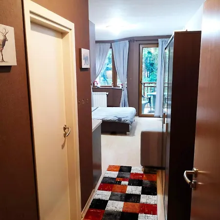 Studio 1 Iceberg With Equipped Kitchen Hotel apartamentowy Borowec