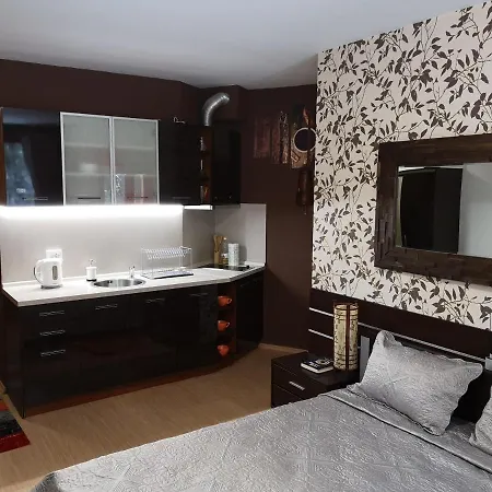 Studio 1 Iceberg With Equipped Kitchen Hotel apartamentowy